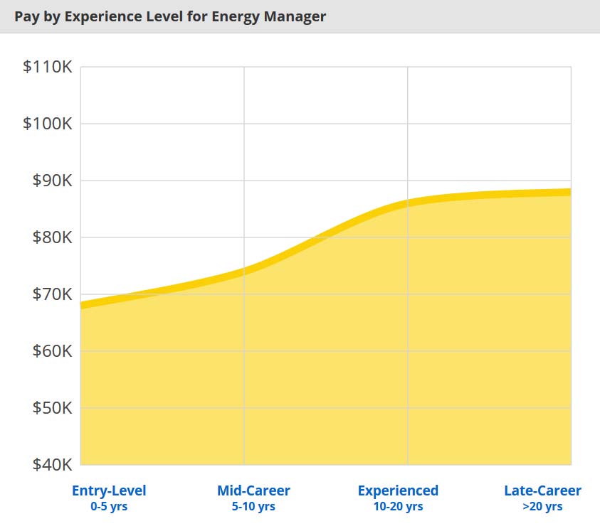 Stipendio Energy manager Stati Uniti